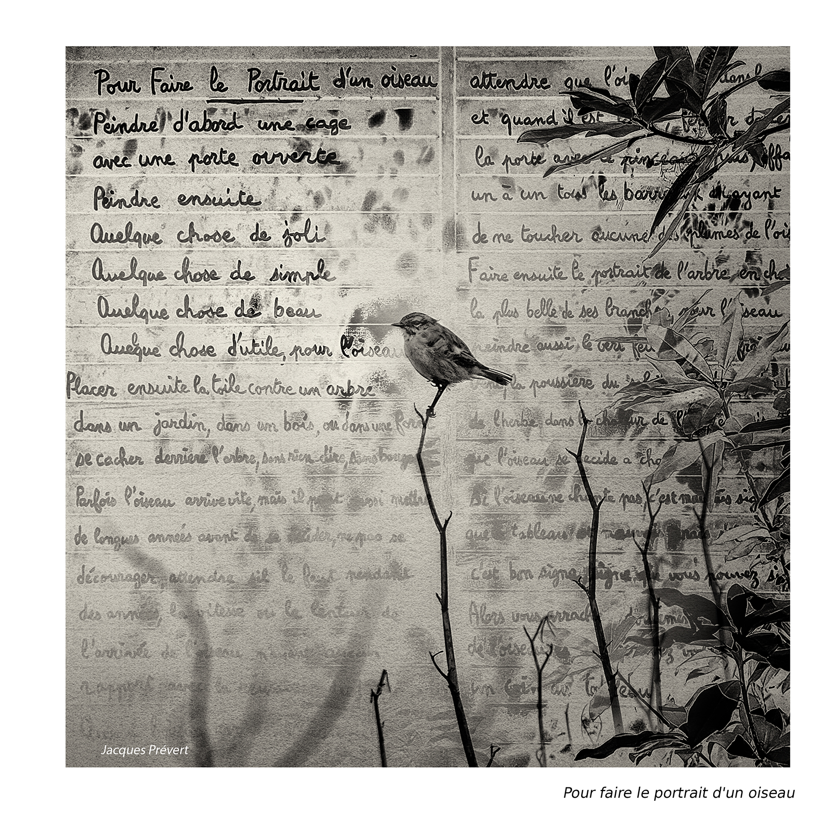 Pour faire le portrait d